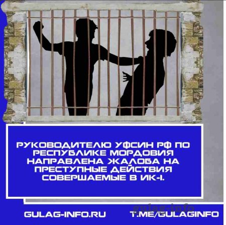 Руководителем проекта "Гулаг-инфо" была направлена жалоба в отношении событий происходящих в ИК-1 по р. Мордовия на имя начальника УФСИН РФ по республике Мордовия, с требованием провести проверку.